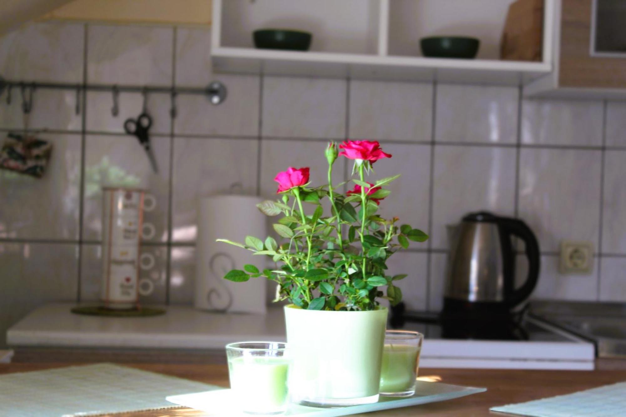 Svila Apartmani Bihac Luaran gambar